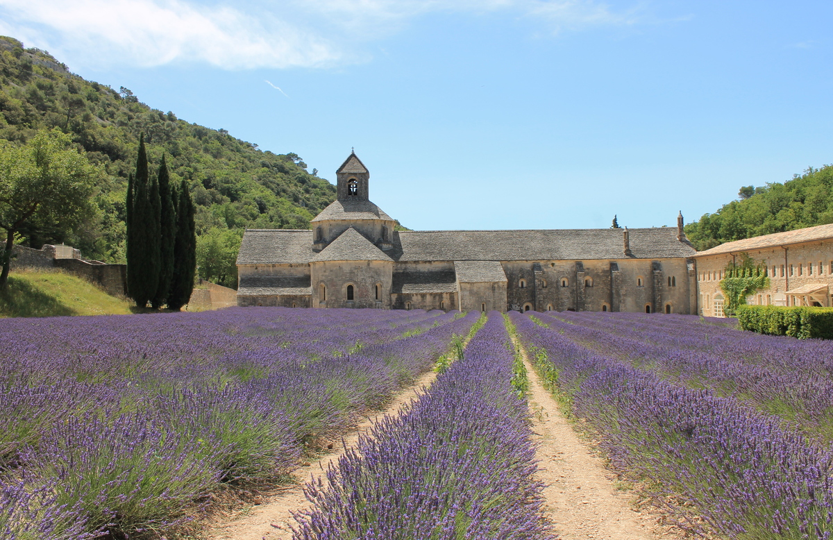 ChillioC-2015-2845-Senanque