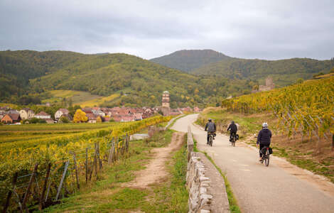 France – Alsace – Cycle Touring 2 © Bartosch Salmanski - 128db.fr 0337