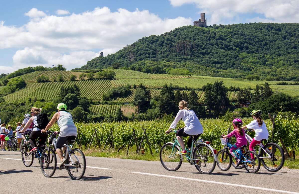 France – Alsace – Cycling Tour 3 © D. LETT - ADT