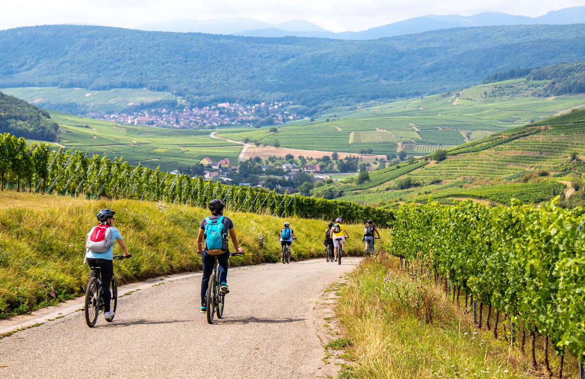 France – Alsace – Cycling Tour 5 © D. Lett - ADT