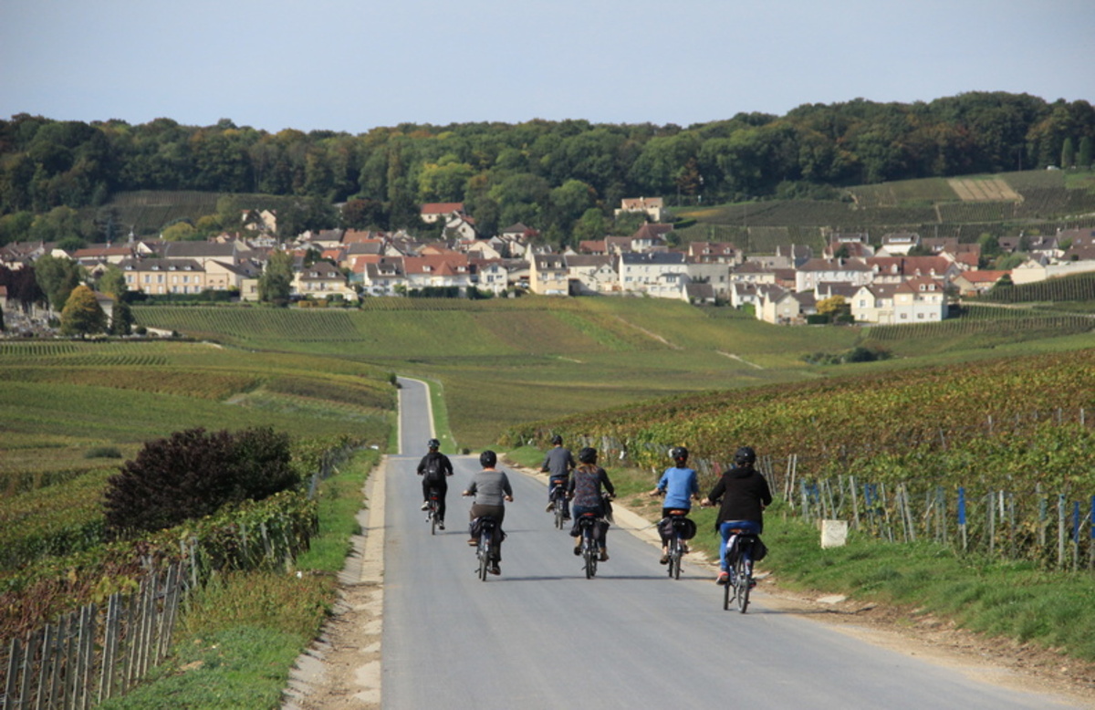 France – Champagne – Cycle Touring 4©E. Vidal-Coll. ADT Marne59