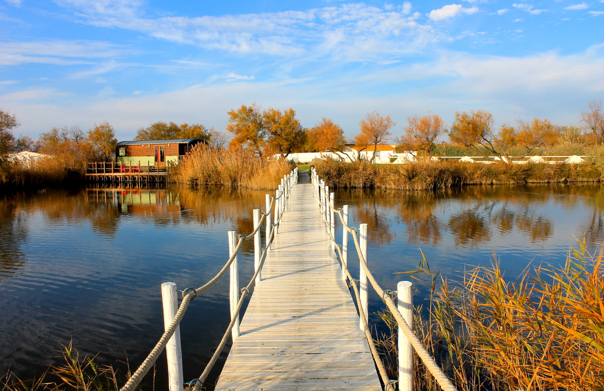 MarchandC-2019-17829-saintes-maries-de-la-mer 4