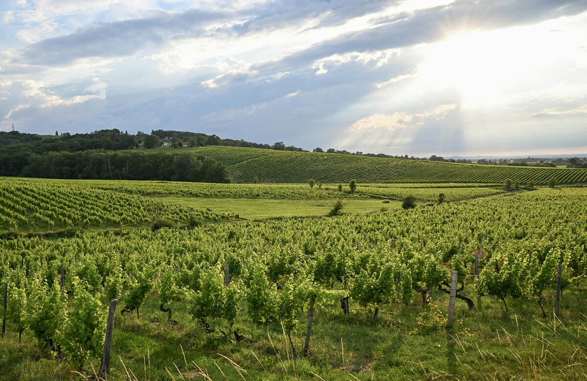 4 Monbazillac (c)didier-veillon-